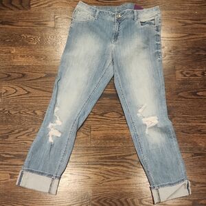 Lane Bryant Sky Blue Distressed Cropped Jeans